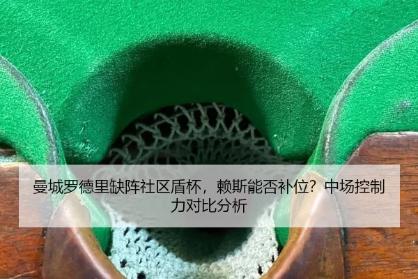man-cheng-luo-de-li-que-zhen-she-qu-dun-bei-lai-si-neng-fou-bu-wei-zhong-chang-kong-zhi-li-dui-bi-fen-xi-2-212.jpg