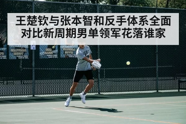 王楚钦与张本智和反手体系全面对比新周期男单领军花落谁家